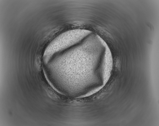 X0000113320868200910051123