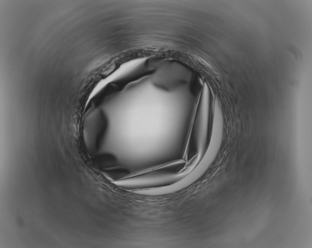 X0000113320869200910051123