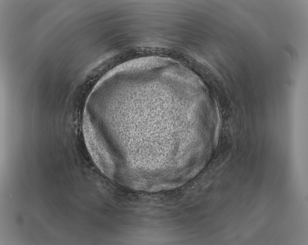 X0000113320870200910051123