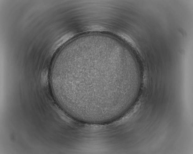 X0000113320873200910051123