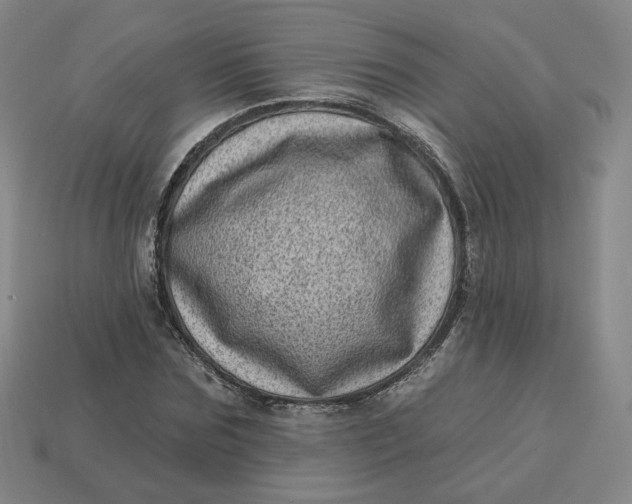 X0000113320875200910051123