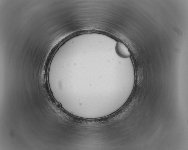 X0000113320876200910051123