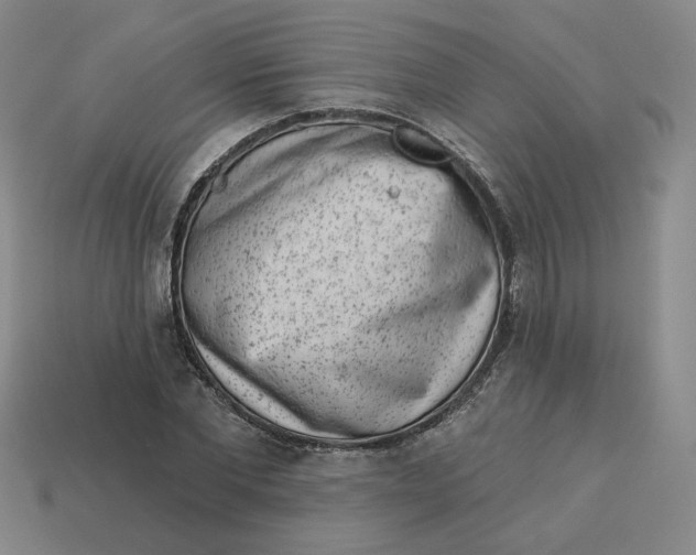 X0000113320877200910051123