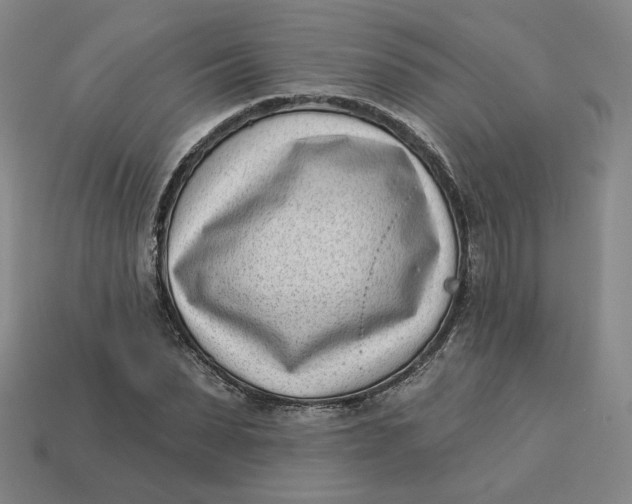 X0000113320879200910051123