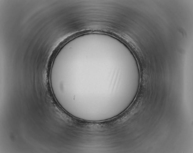 X0000113320880200910051123