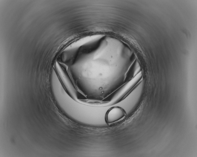 X0000113320881200910051123