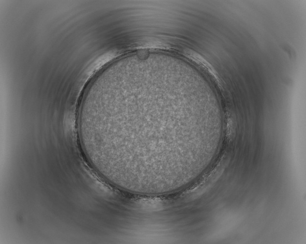 X0000113320882200910051123