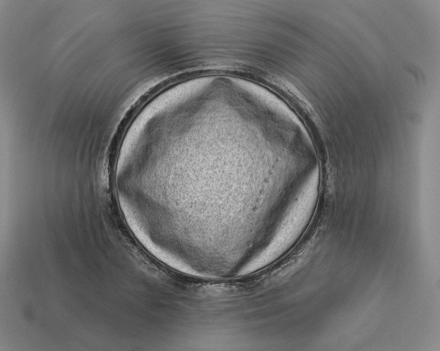 X0000113320883200910051123