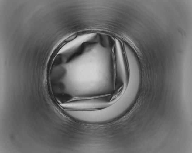 X0000113320884200910051123