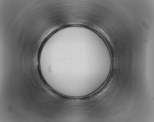 X0000113320885200910051123