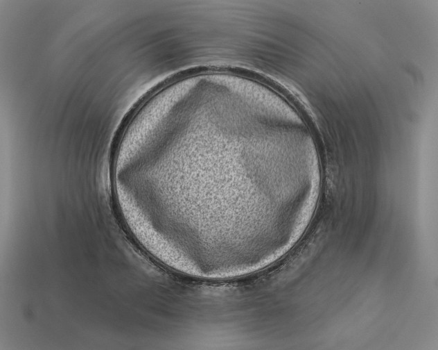 X0000113320887200910051123