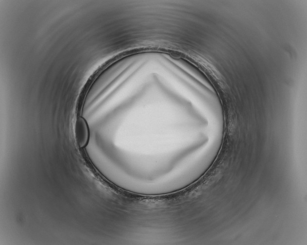 X0000113320888200910051123