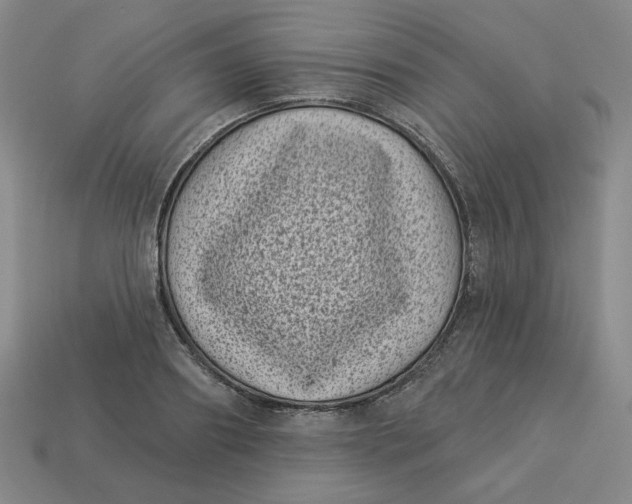 X0000113320890200910051123