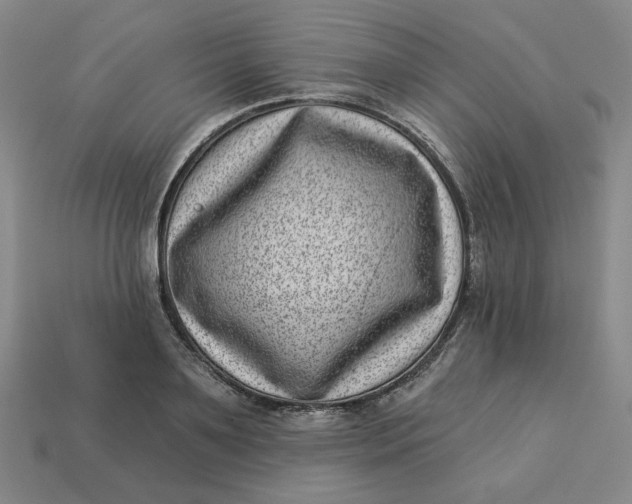 X0000113320891200910051123