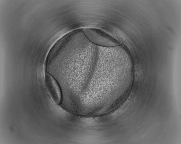 X0000113320892200910051123