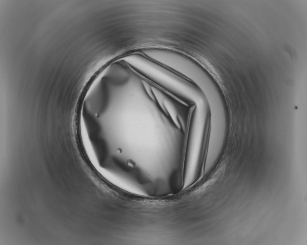 X0000113320893200910051123