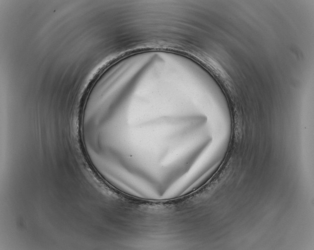 X0000113320896200910051122