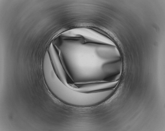 X0000113320897200910051122