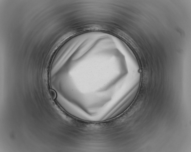 X0000113320898200910051122