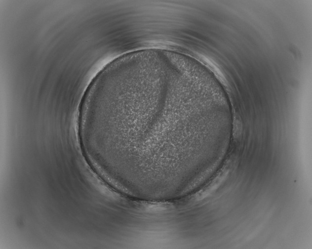 X0000113320899200910051122