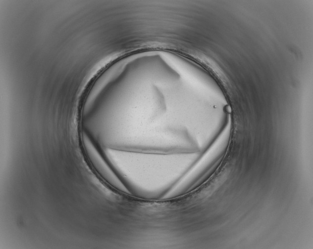 X0000113320902200910051122