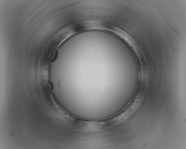 X0000113320905200910051122