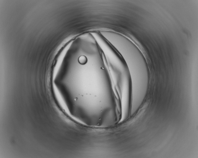 X0000113320909200910051122