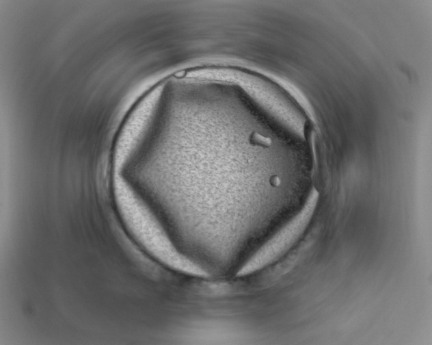 X0000113320911200910051122