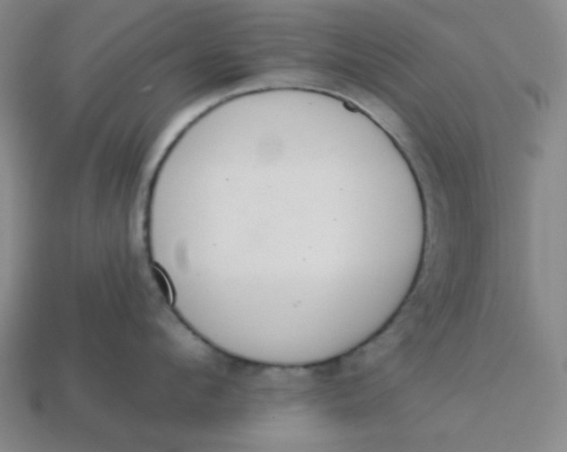 X0000113320912200910051122