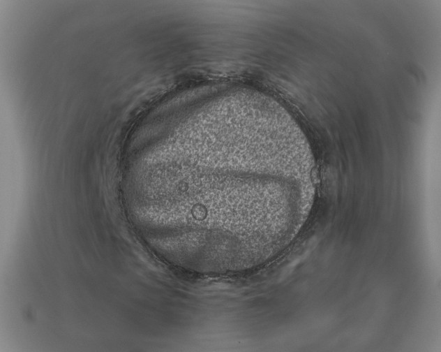 X0000113320913200910051122