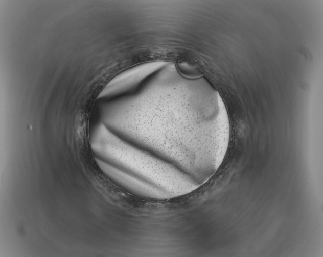 X0000113320914200910051122