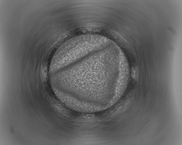 X0000113320915200910051122