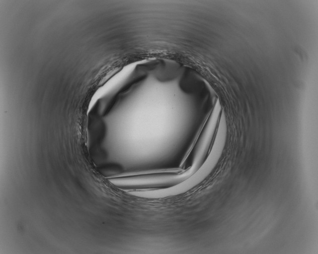 X0000113320916200910051122