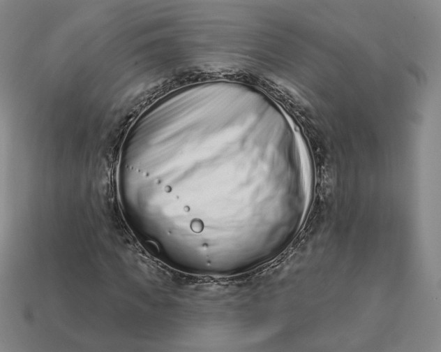 X0000113320917200910051122