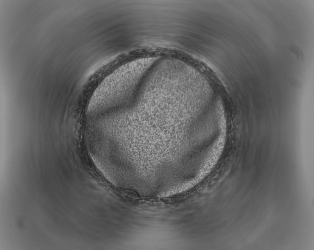 X0000113320919200910051122