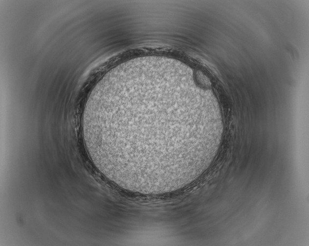 X0000113320920200910051122