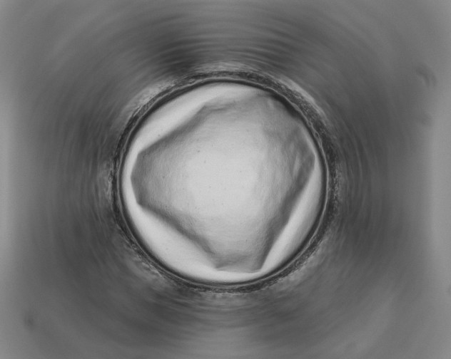 X0000113320921200910051122