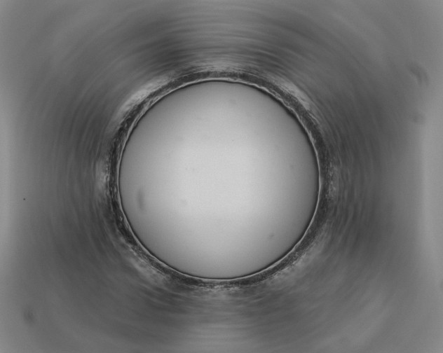 X0000113320922200910051122