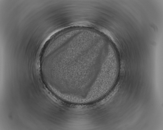 X0000113320923200910051122