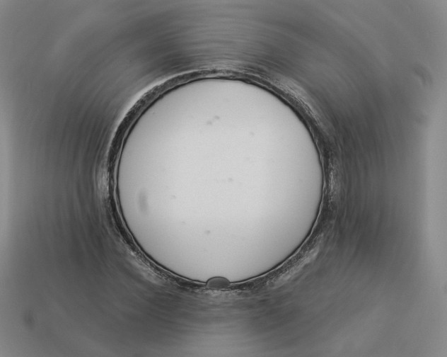 X0000113320924200910051122