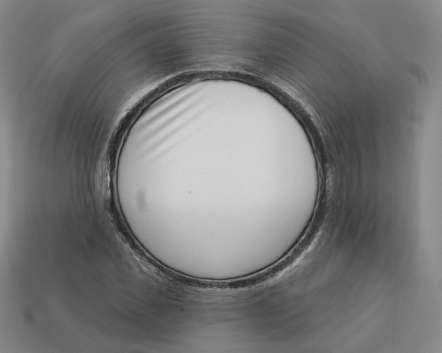 X0000113320925200910051122