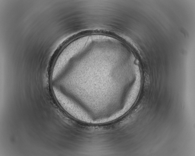 X0000113320927200910051122