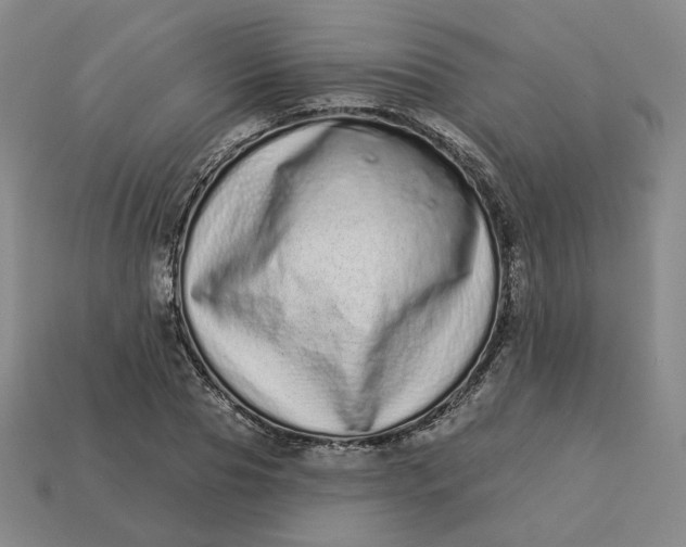 X0000113320929200910051122