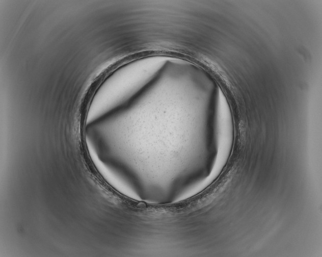 X0000113320931200910051122