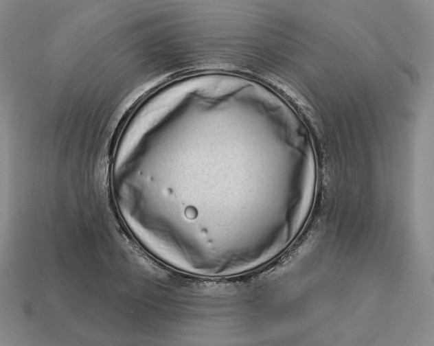 X0000113320933200910051122