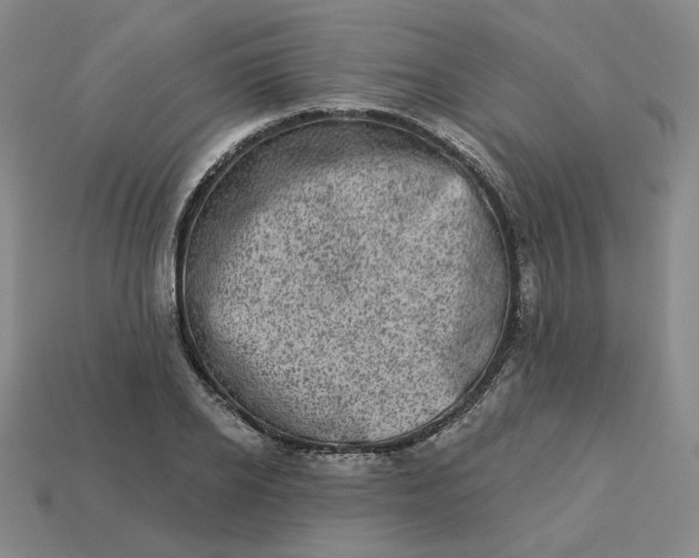 X0000113320934200910051122