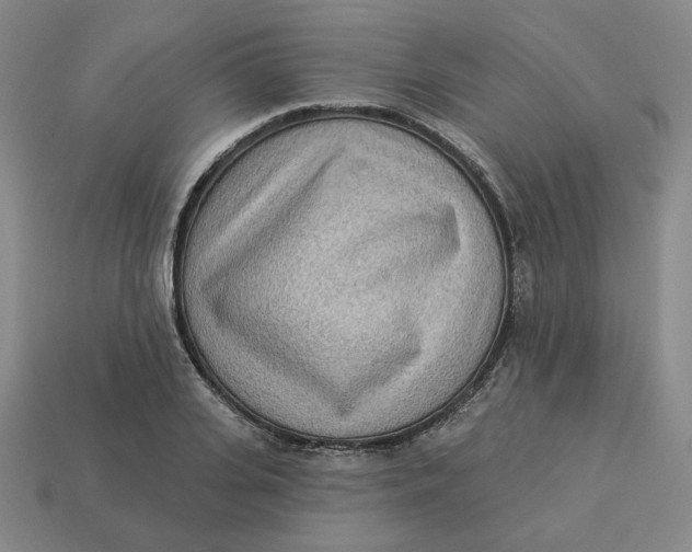 X0000113320935200910051122