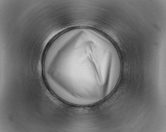 X0000113320936200910051122