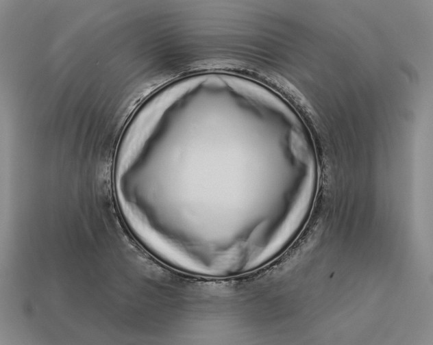 X0000113320937200910051122