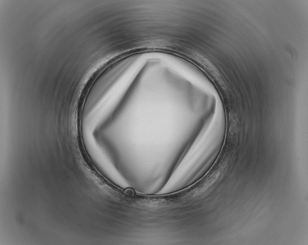 X0000113320939200910051122